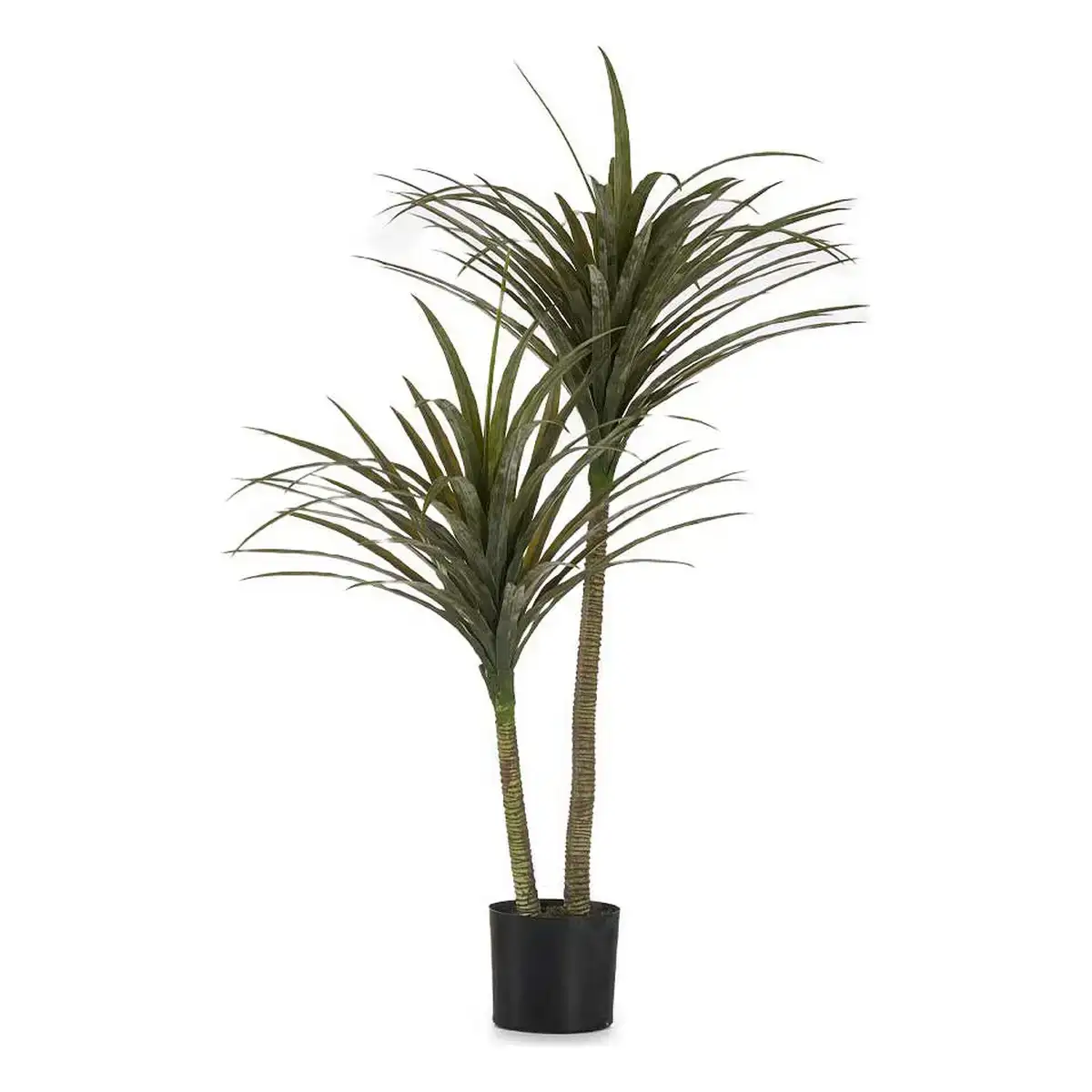 Plante decorative lame etroite vert plastique 80 x 150 x 105 cm _7788. DIAYTAR COTE D'IVOIRE - Votre Destination pour un Shopping Réfléchi. Découvrez notre gamme variée et choisissez des produits qui correspondent à vos valeurs et à votre style de vie.