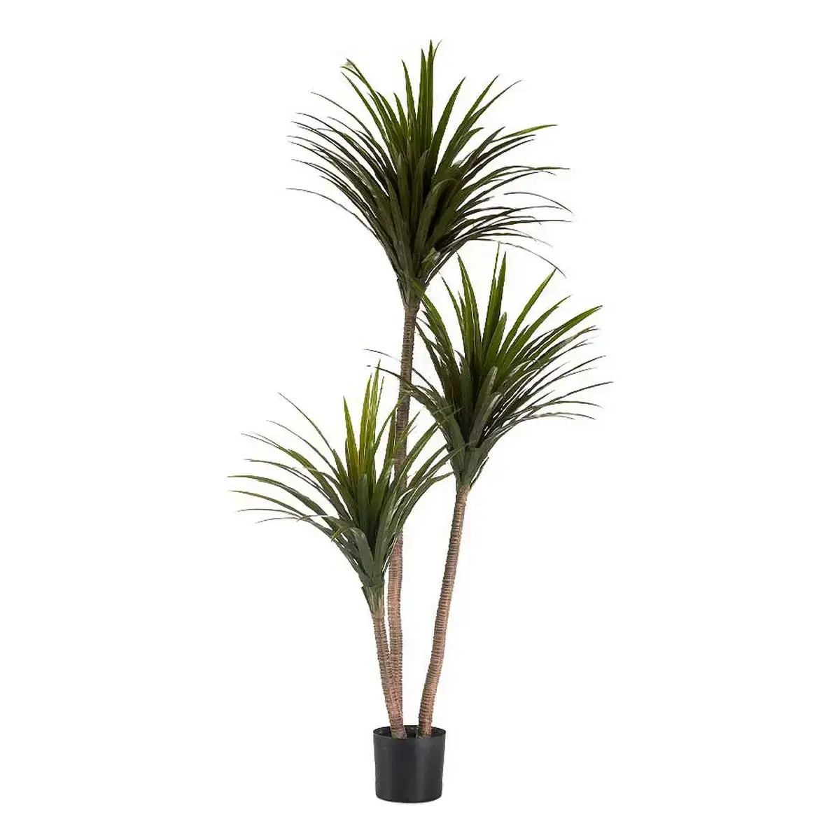 Plante decorative lame etroite vert plastique 80 x 200 x 105 cm _3805. DIAYTAR COTE D'IVOIRE - Là où l'Élégance Devient un Mode de Vie. Naviguez à travers notre gamme et choisissez des produits qui apportent une touche raffinée à votre quotidien.