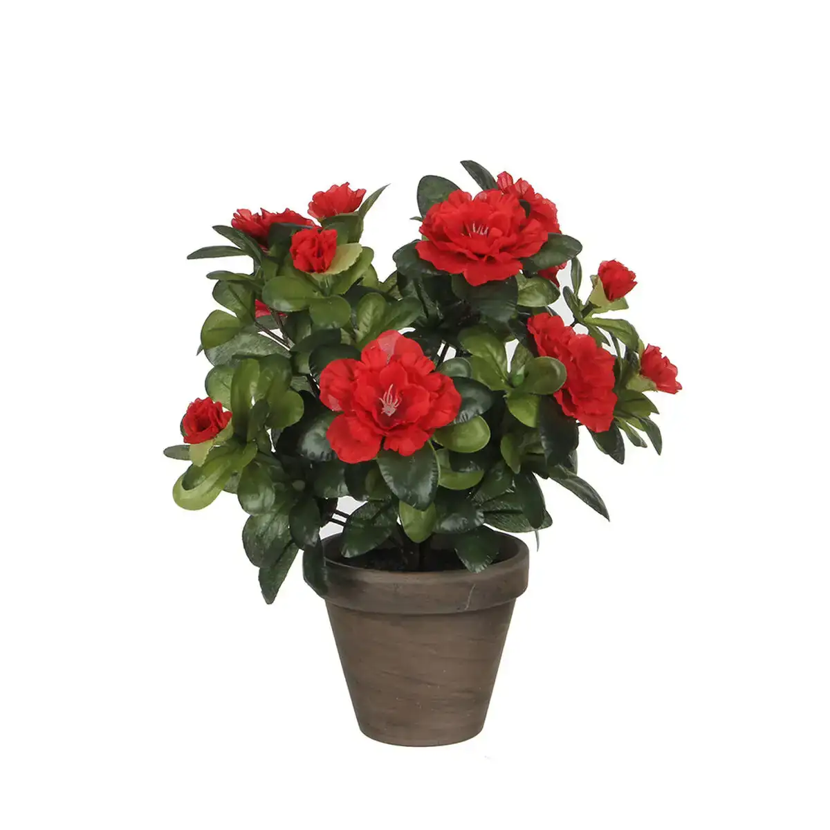 Plante decorative mica decorations 10 5 x 21 5 x 15 cm azalee_7984. DIAYTAR COTE D'IVOIRE - L'Essence de la Tradition et de la Modernité réunies. Explorez notre plateforme en ligne pour trouver des produits authentiques du Côte d'Ivoire, tout en découvrant les dernières tendances du monde moderne.