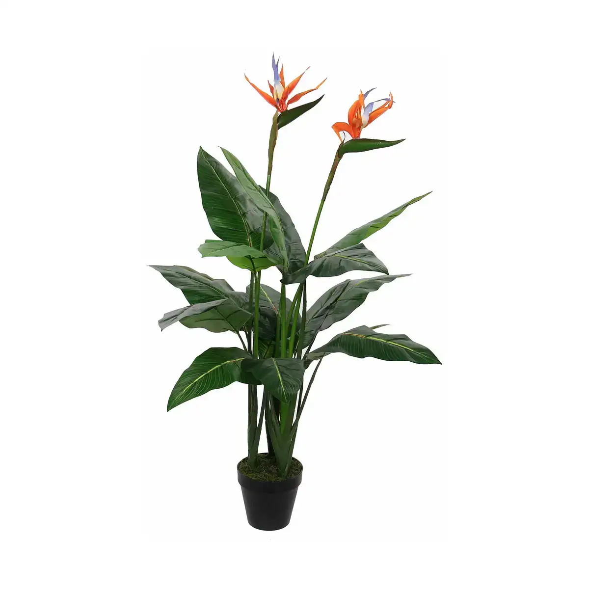 Plante decorative mica decorations 60 x 110 cm _3036. DIAYTAR COTE D'IVOIRE - Où Chaque Produit est une Promesse de Qualité. Explorez notre boutique en ligne et choisissez des produits qui répondent à vos exigences élevées.