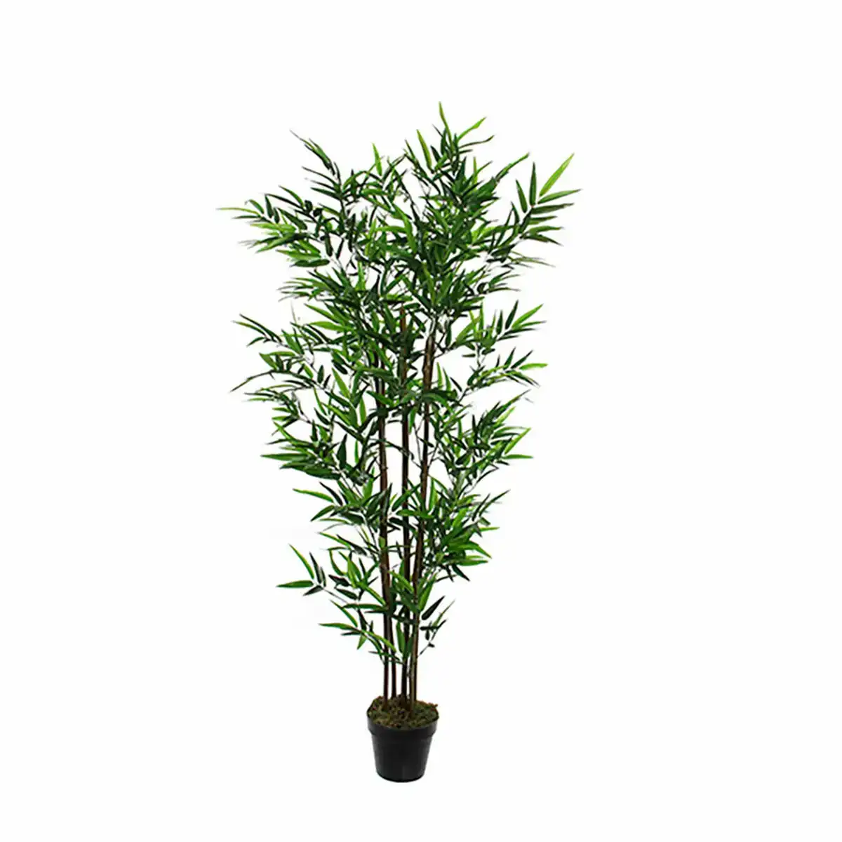 Plante decorative mica decorations 65 x 165 cm vert plastique bambou_7529. DIAYTAR COTE D'IVOIRE - Votre Univers Shopping Éclectique. Explorez nos offres variées et découvrez des articles qui embrassent la diversité et la polyvalence de vos besoins.