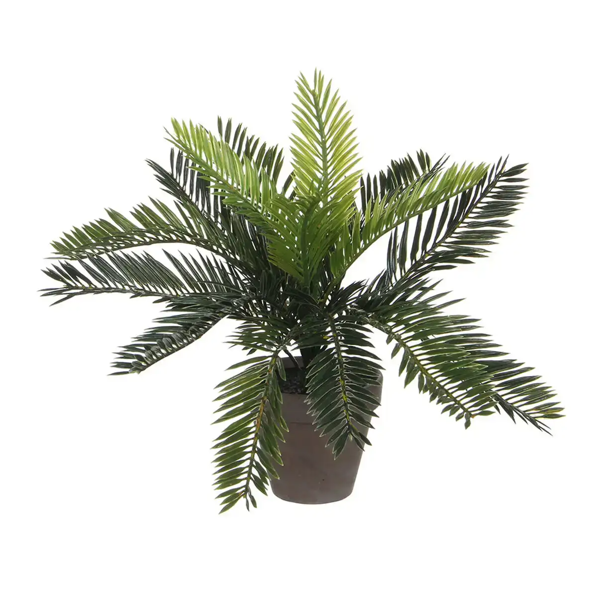 Plante decorative mica decorations ceramique palmier 11 5 x 33 cm _3437. Bienvenue sur DIAYTAR COTE D'IVOIRE - Où Choisir Rime avec Qualité. Explorez notre gamme diversifiée et découvrez des articles conçus pour répondre à vos attentes élevées.