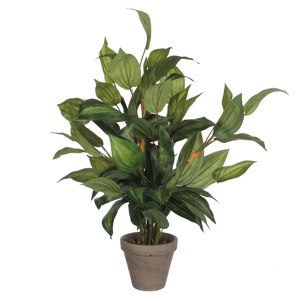 Plante decorative mica decorations hosta vert pvc 15 5 x 65 cm _4860. DIAYTAR COTE D'IVOIRE - Votre Plateforme Shopping, Votre Choix Éclairé. Explorez nos offres et choisissez des articles de qualité qui reflètent votre style et vos valeurs.