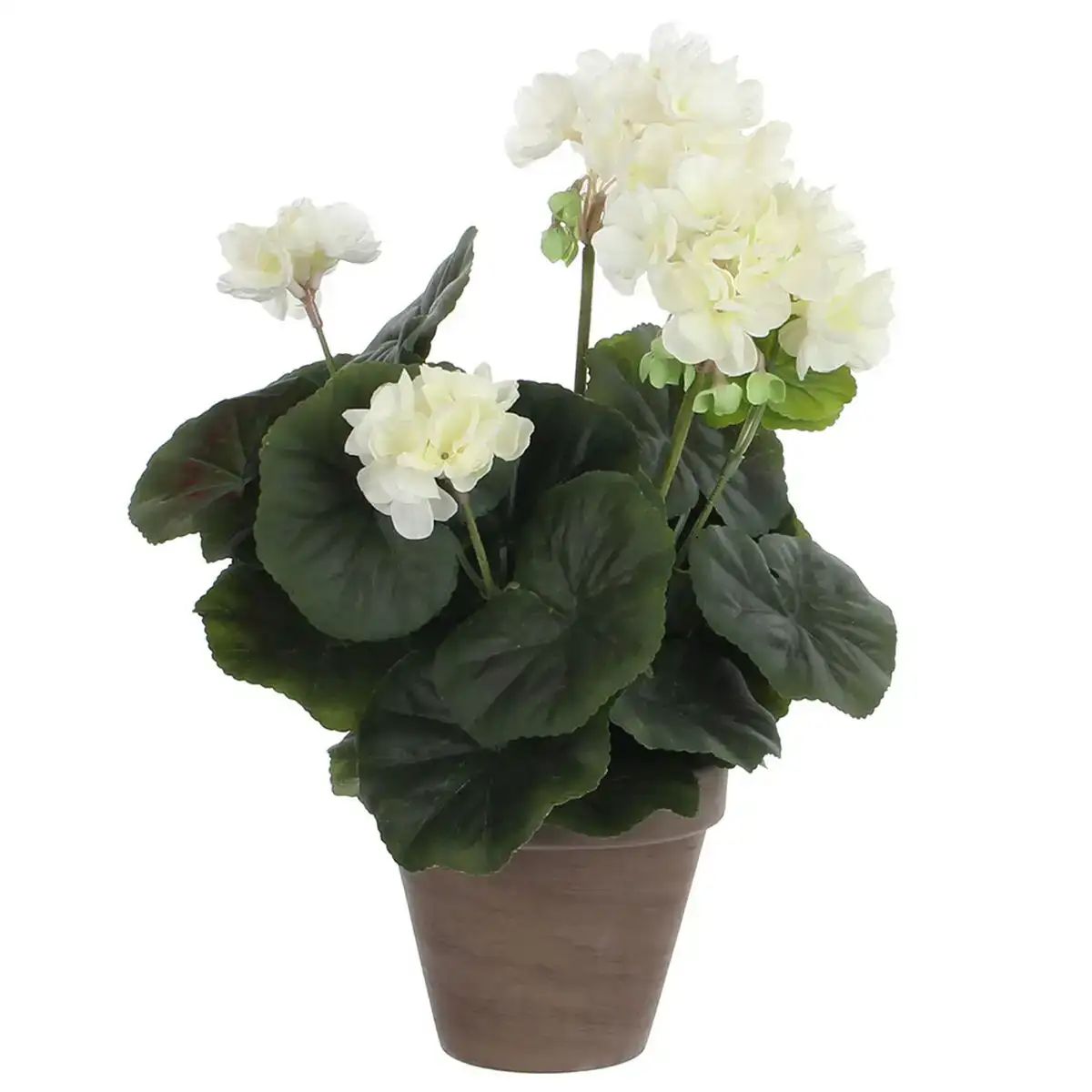 Plante decorative mica decorations pvc geranium_2376. Entrez dans l'Univers de DIAYTAR COTE D'IVOIRE - Où la Tradition S'unit à la Modernité. Explorez notre sélection pour trouver des produits qui allient héritage et innovation.