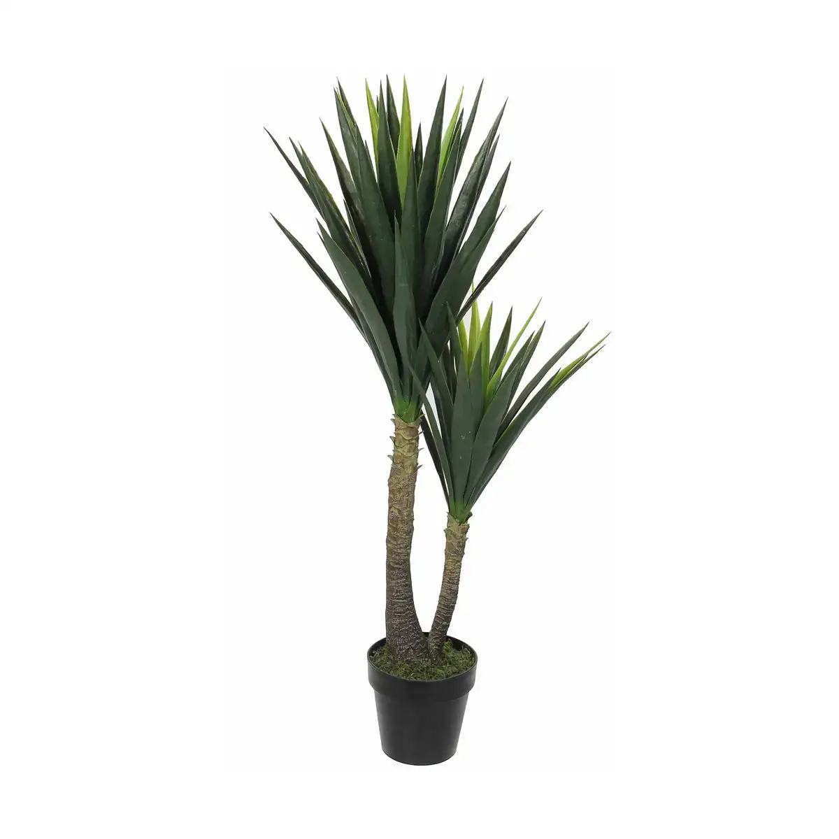 Plante decorative mica decorations yucca 120 x 60 cm _4490. DIAYTAR COTE D'IVOIRE - Là où Choisir est un Acte d'Amour pour la Culture Côte d'Ivoireaise. Explorez notre gamme et choisissez des produits qui célèbrent la richesse de notre patrimoine.