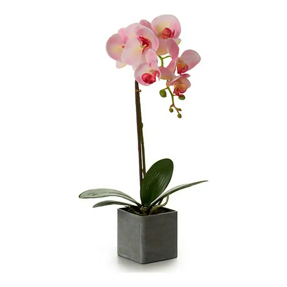 Plante decorative orchidee 15 x 43 x 18 cm plastique_2489. DIAYTAR COTE D'IVOIRE - Votre Paradis Shopping au Cœur du Côte d'Ivoire. Explorez notre boutique en ligne et découvrez des produits conçus pour enchanter chaque aspect de votre vie.