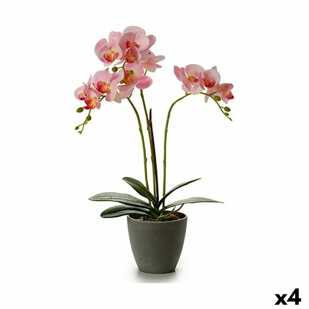 Plante decorative orchidee 19 x 48 x 24 cm plastique 4 unites _2505. DIAYTAR COTE D'IVOIRE - Votre Destination Shopping d'Exception. Parcourez nos rayons virtuels et choisissez des produits qui incarnent l'excellence et la diversité.