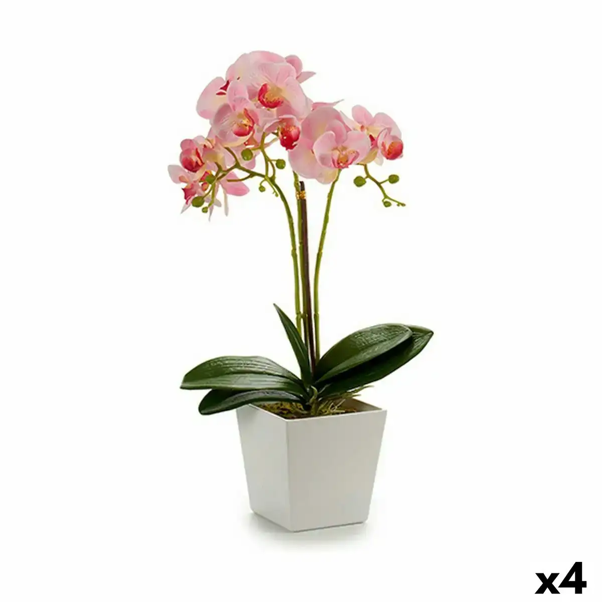 Plante decorative orchidee 20 x 47 x 33 cm plastique 4 unites _5747. Entrez dans l'Univers de DIAYTAR COTE D'IVOIRE - Où l'Élégance et la Variété se Rencontrent. Parcourez notre catalogue pour dénicher des articles qui ajoutent une touche d'élégance à votre vie.