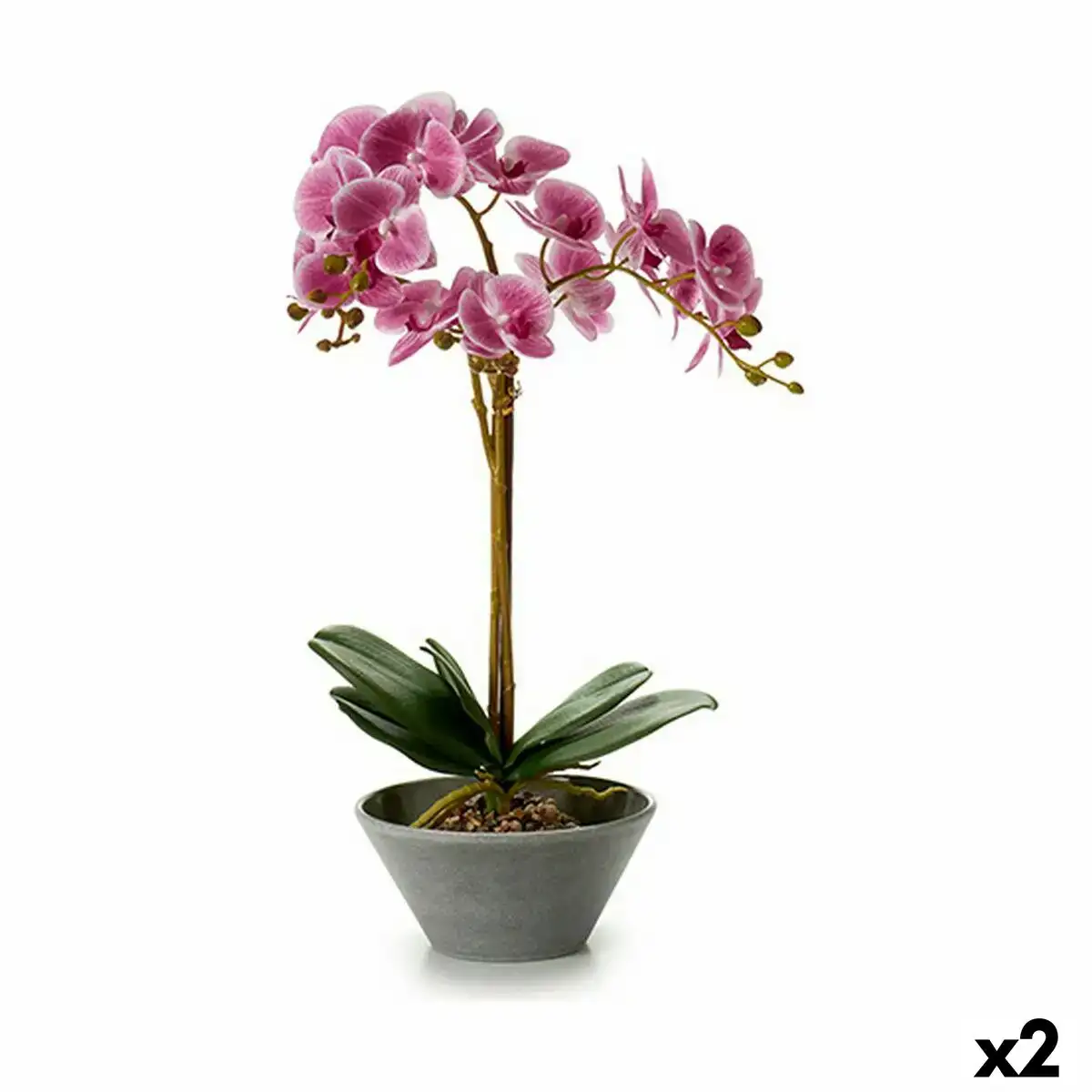 Plante decorative orchidee 20 x 60 x 28 cm 2 unites _5924. DIAYTAR COTE D'IVOIRE - Votre Passage vers l'Éclat et la Beauté. Explorez notre boutique en ligne et trouvez des produits qui subliment votre apparence et votre espace.