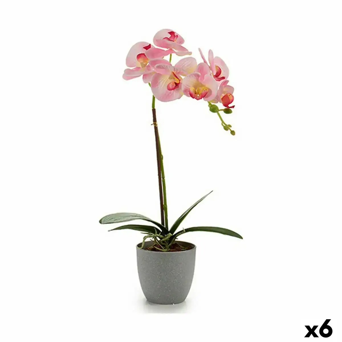 Plante decorative orchidee plastique 13 x 39 x 22 cm 6 unites _5571. DIAYTAR COTE D'IVOIRE - Votre Passage Vers l'Excellence Shopping. Découvrez un catalogue en ligne qui offre une expérience d'achat exceptionnelle, avec des produits soigneusement sélectionnés pour satisfaire tous les goûts.