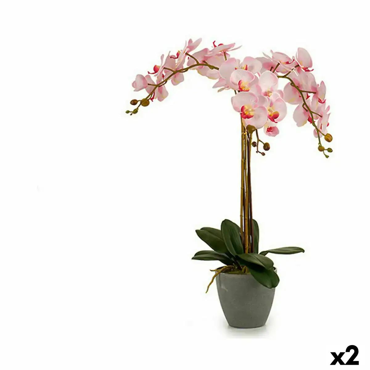 Plante decorative orchidee plastique 29 x 78 x 35 cm 2 unites _7387. DIAYTAR COTE D'IVOIRE - Votre Compagnon Shopping, Votre Style Unique. Explorez notre boutique en ligne pour dénicher des trésors qui expriment qui vous êtes, de la mode à la maison.