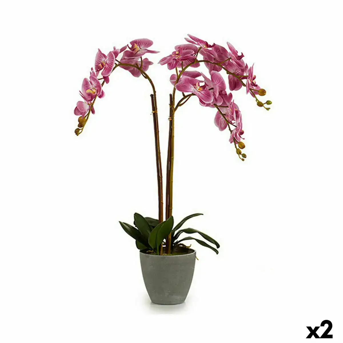 Plante decorative orchidee plastique 33 x 77 x 33 cm 2 unites _6301. DIAYTAR COTE D'IVOIRE - Votre Passage vers le Chic et l'Élégance. Naviguez à travers notre boutique en ligne pour trouver des produits qui ajoutent une touche sophistiquée à votre style.