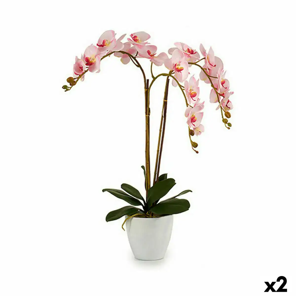 Plante decorative orchidee plastique 40 x 77 x 35 cm 2 unites _7719. DIAYTAR COTE D'IVOIRE - Où la Qualité est Notre Engagement. Explorez notre boutique en ligne pour découvrir des produits conçus pour vous apporter satisfaction et plaisir.