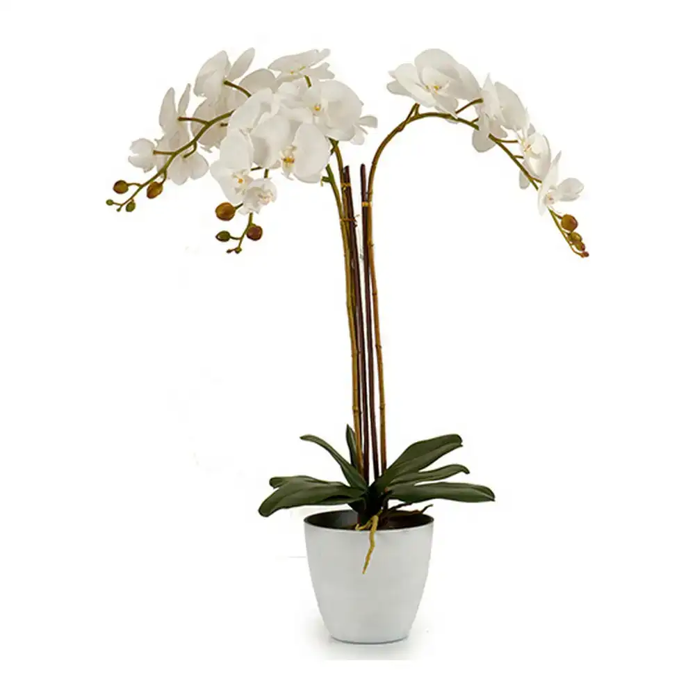Plante decorative plastique_9111. DIAYTAR COTE D'IVOIRE - Là où les Possibilités sont Infinies. Parcourez nos catégories et laissez-vous séduire par des produits qui enrichiront votre quotidien, du pratique à l'esthétique.