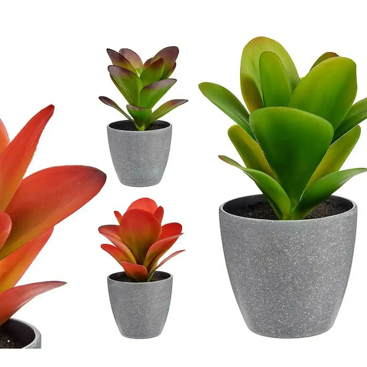 Plante decorative rouge gris vert plastique 11 x 20 x 11 cm_1769. DIAYTAR COTE D'IVOIRE - Là où Chaque Produit a son Histoire. Découvrez notre gamme de produits, chacun portant en lui le récit de l'artisanat et de la passion, pour vous offrir une expérience de shopping authentique.