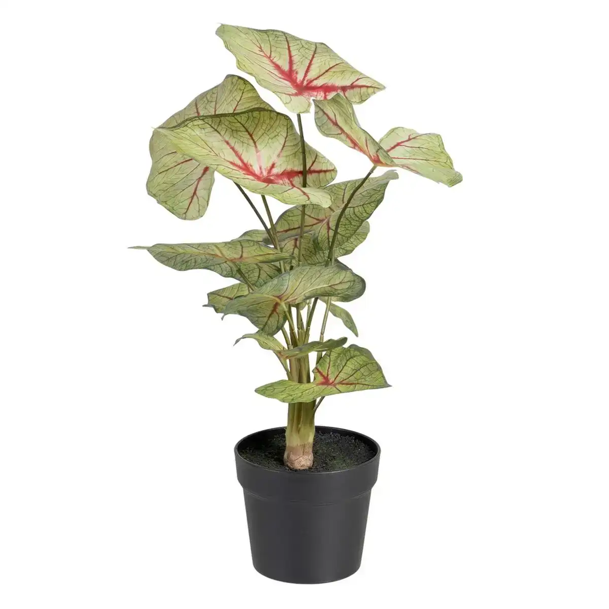 Plante decorative rouge vert pvc 40 x 35 x 55 cm_6820. Entrez dans l'Univers de DIAYTAR COTE D'IVOIRE - Où le Shopping Devient une Découverte. Explorez nos rayons et dénichez des trésors qui illuminent votre quotidien.