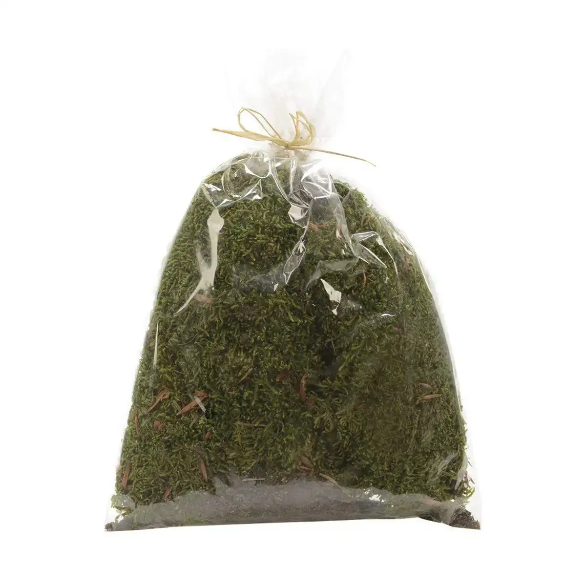 Plante decorative vert 15 x 20 cm _6271. Bienvenue chez DIAYTAR COTE D'IVOIRE - Où Chaque Objet a son Histoire. Découvrez notre sélection méticuleuse et choisissez des articles qui racontent l'âme du Côte d'Ivoire.