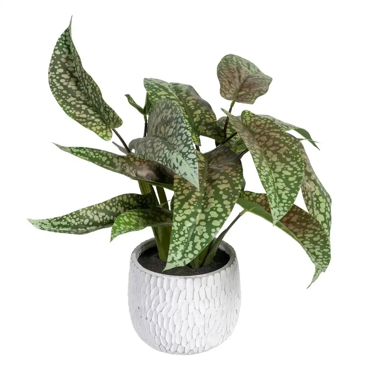 Plante decorative vert pvc 52 x 44 x 44 cm_5678. DIAYTAR COTE D'IVOIRE - Où Choisir Devient une Expérience Personnalisée. Explorez notre boutique en ligne pour découvrir des produits qui s'adaptent à votre style et à votre essence.