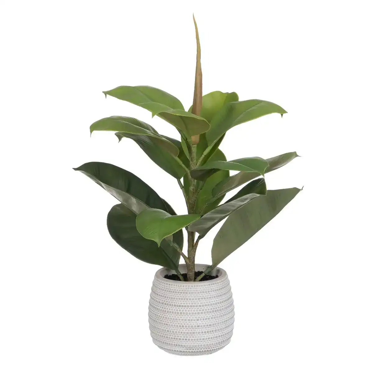 Plante decorative vert pvc chene 58 cm_7314. Plongez dans l'Expérience DIAYTAR COTE D'IVOIRE - Où Chaque Produit a une Histoire. Explorez notre boutique en ligne pour trouver des articles qui incarnent la passion et la créativité du Côte d'Ivoire.