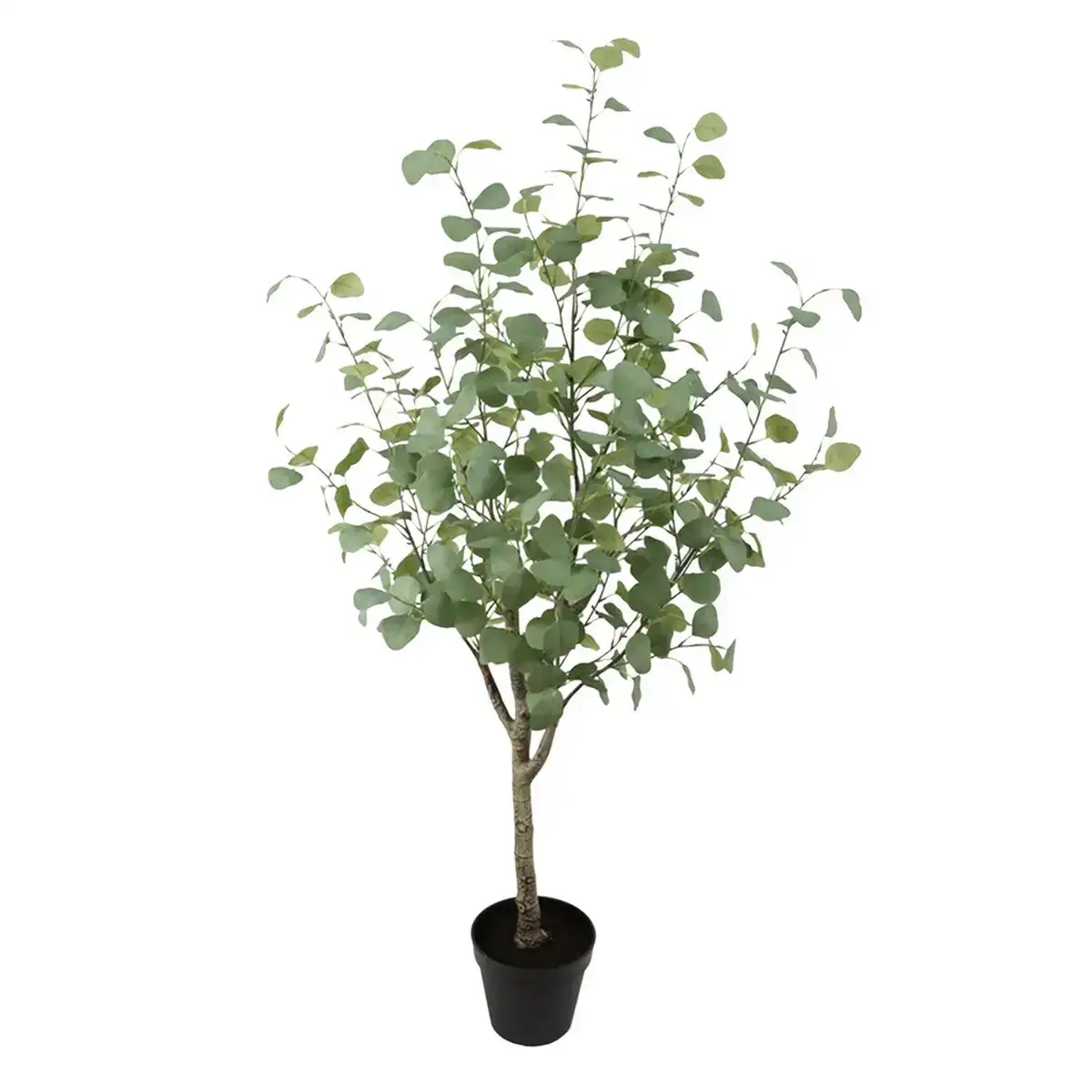 Plante decorative vert_1259. Bienvenue chez DIAYTAR COTE D'IVOIRE - Où Chaque Objet a son Histoire. Découvrez notre sélection méticuleuse et choisissez des articles qui racontent l'âme du Côte d'Ivoire.