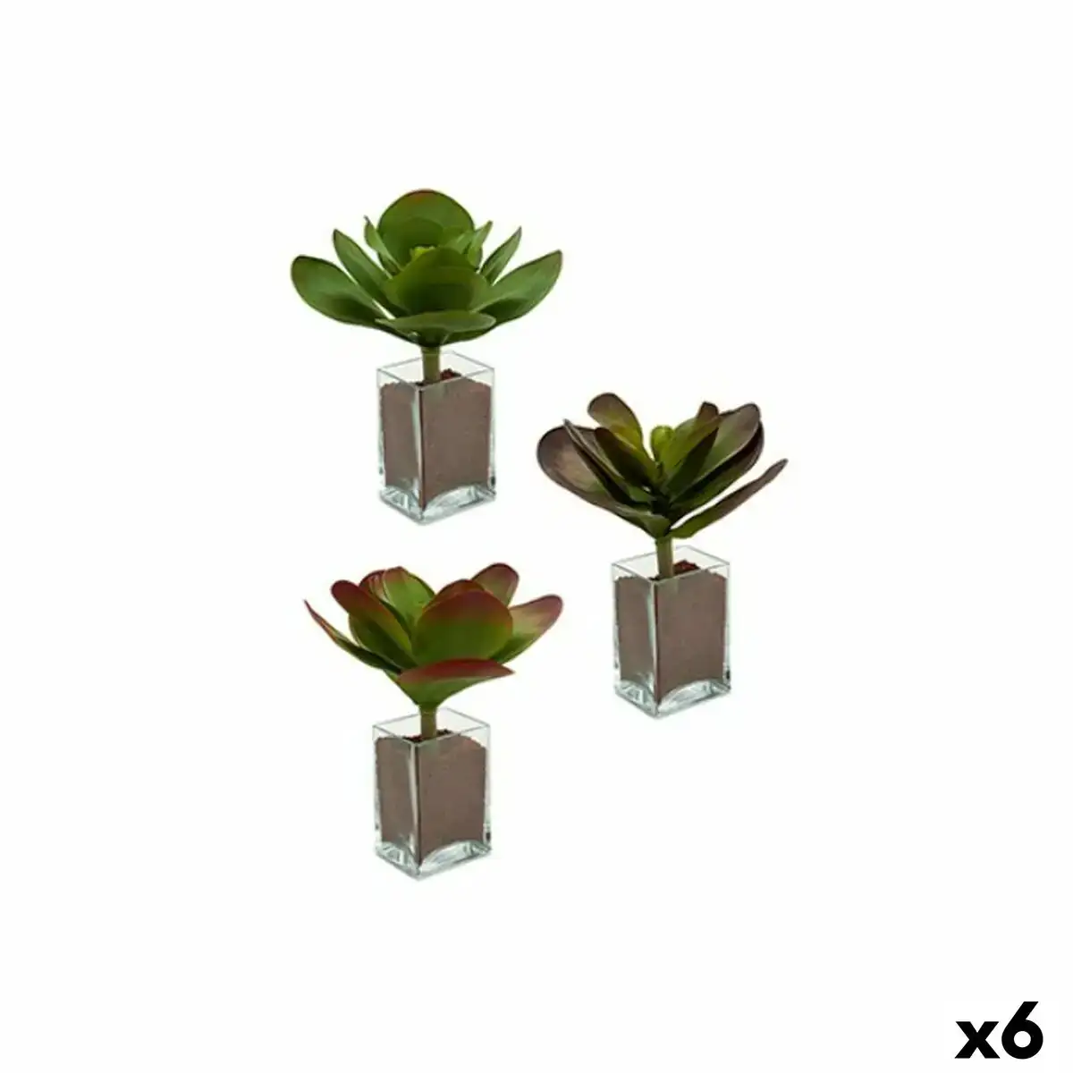 Plante decorative volets grand bicolore plastique 27 x 29 x 27 cm 6 unites _4708. DIAYTAR COTE D'IVOIRE - L'Art de Vivre en Couleurs. Découvrez notre boutique en ligne et trouvez des produits qui ajoutent une palette vibrante à votre quotidien.