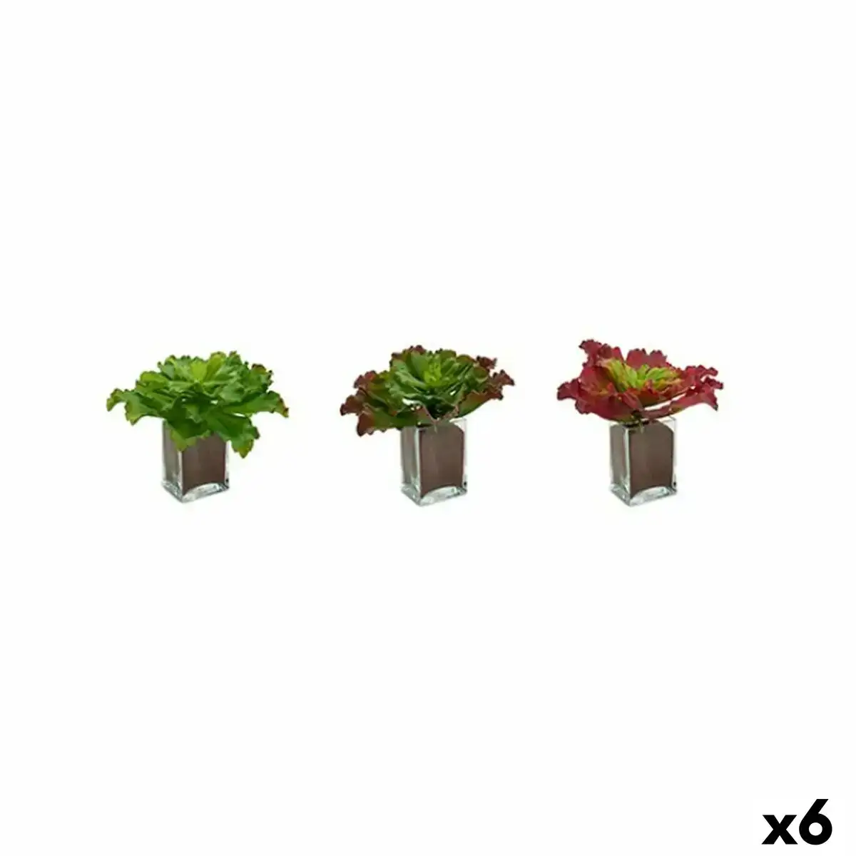 Plante decorative volets grand bicolore plastique 31 x 24 x 31 cm 6 unites _4519. Entrez dans l'Univers de DIAYTAR COTE D'IVOIRE - Où Choisir est un Voyage. Explorez notre gamme diversifiée et trouvez des articles qui répondent à tous vos besoins et envies.