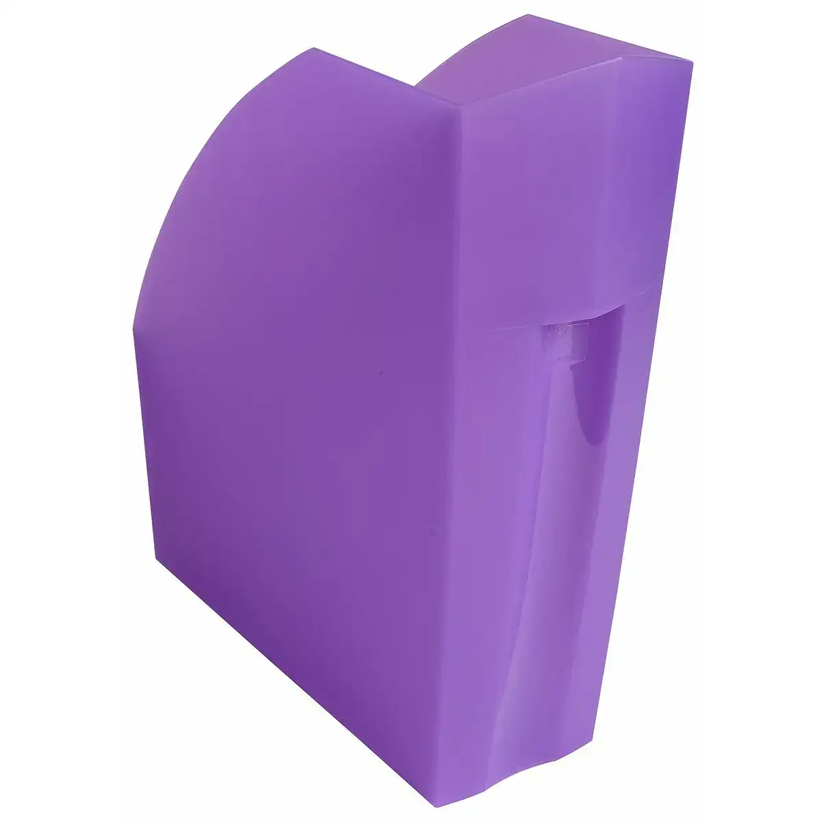 Porte revues exacompta violet a4 polypropylene_5001. Bienvenue sur DIAYTAR COTE D'IVOIRE - Où le Shopping est une Affaire Personnelle. Découvrez notre sélection et choisissez des produits qui reflètent votre unicité et votre individualité.