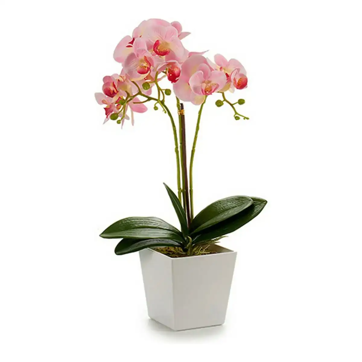 Pot 8430852552532 violet rose lila blanc plastique_5210. Bienvenue sur DIAYTAR COTE D'IVOIRE - Où l'Élégance Rencontrer la Tradition. Explorez notre gamme variée et trouvez des articles qui marient le chic moderne au charme ancestral.