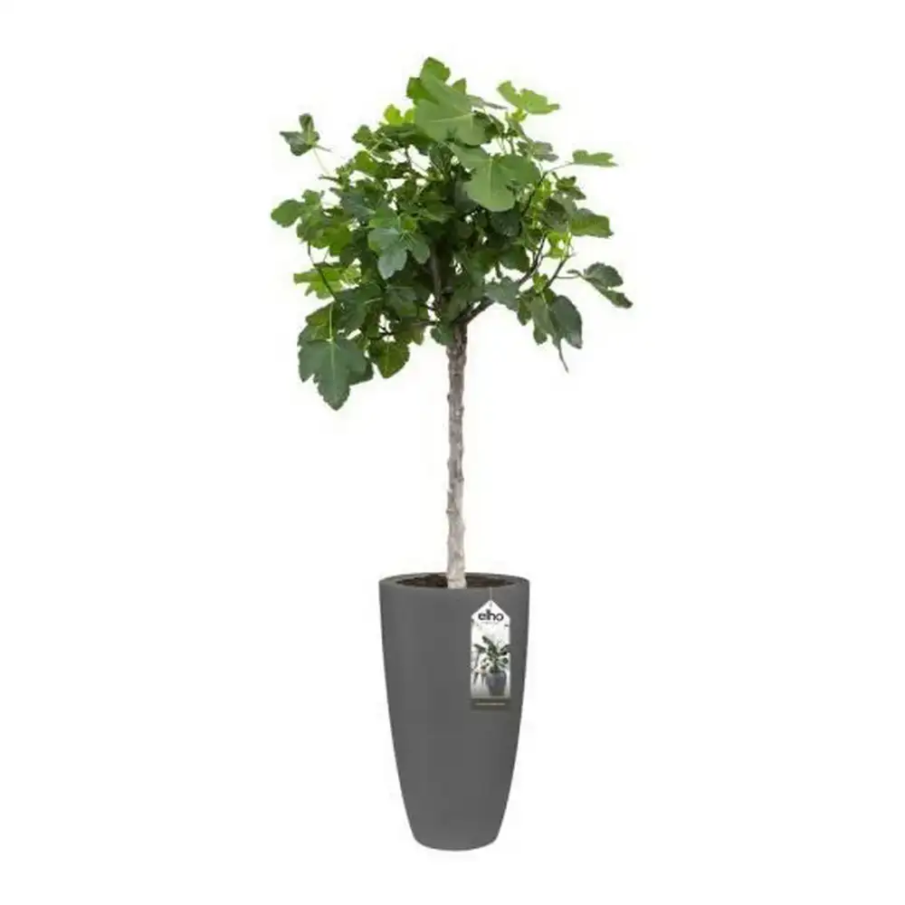 Pot elho 8400212542500 anthracite plastique rond o 35 cm o 34 5 x 61 5 cm_7156. DIAYTAR COTE D'IVOIRE - Où Choisir est un Acte d'Amour pour le Côte d'Ivoire. Explorez notre boutique en ligne et choisissez des articles qui célèbrent la culture et l'artisanat du pays.