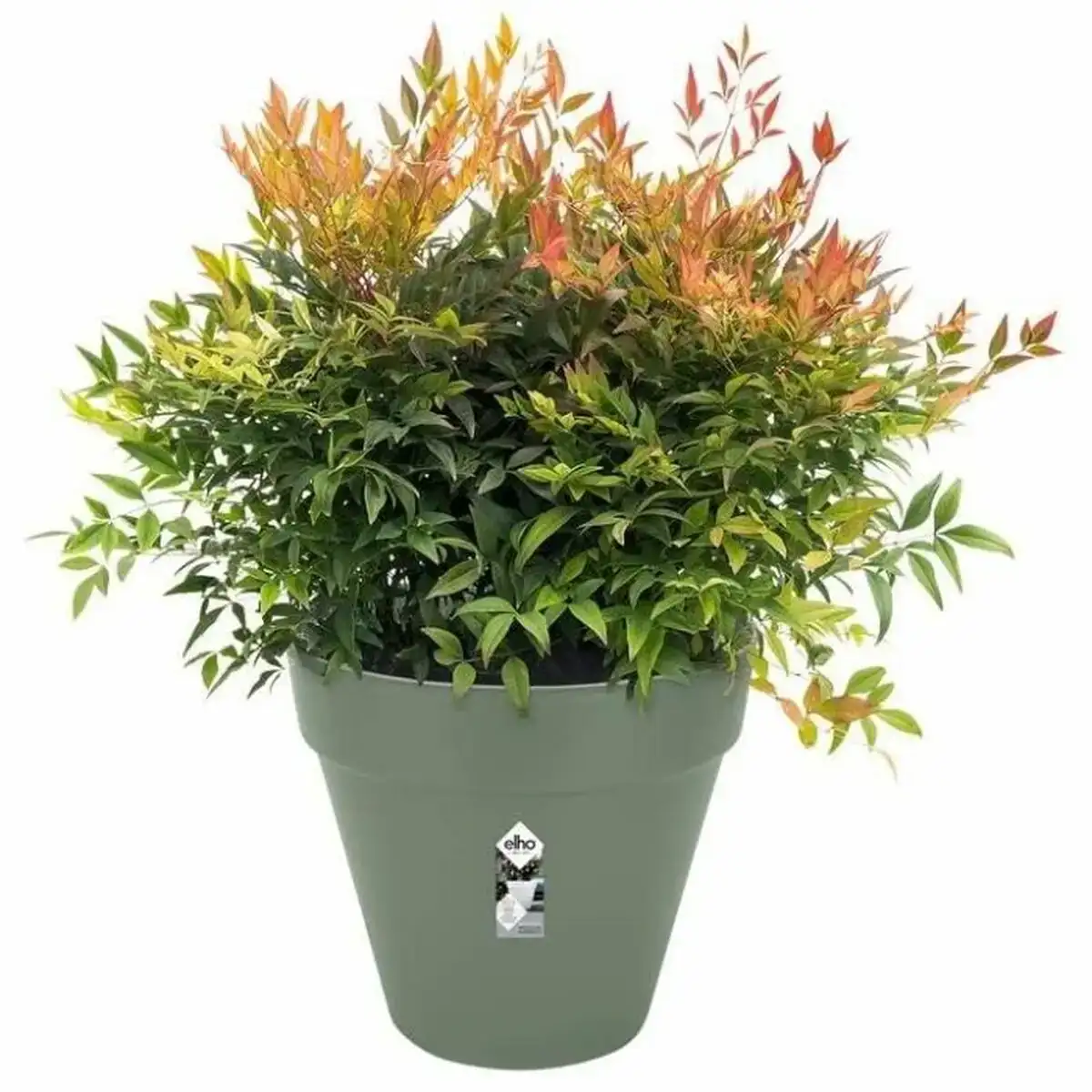 Pot elho o 50 cm plastique_9289. Bienvenue sur DIAYTAR COTE D'IVOIRE - Là où le Shopping Devient une Aventure. Explorez notre catalogue et dénichez des trésors qui élargiront votre horizon shopping.