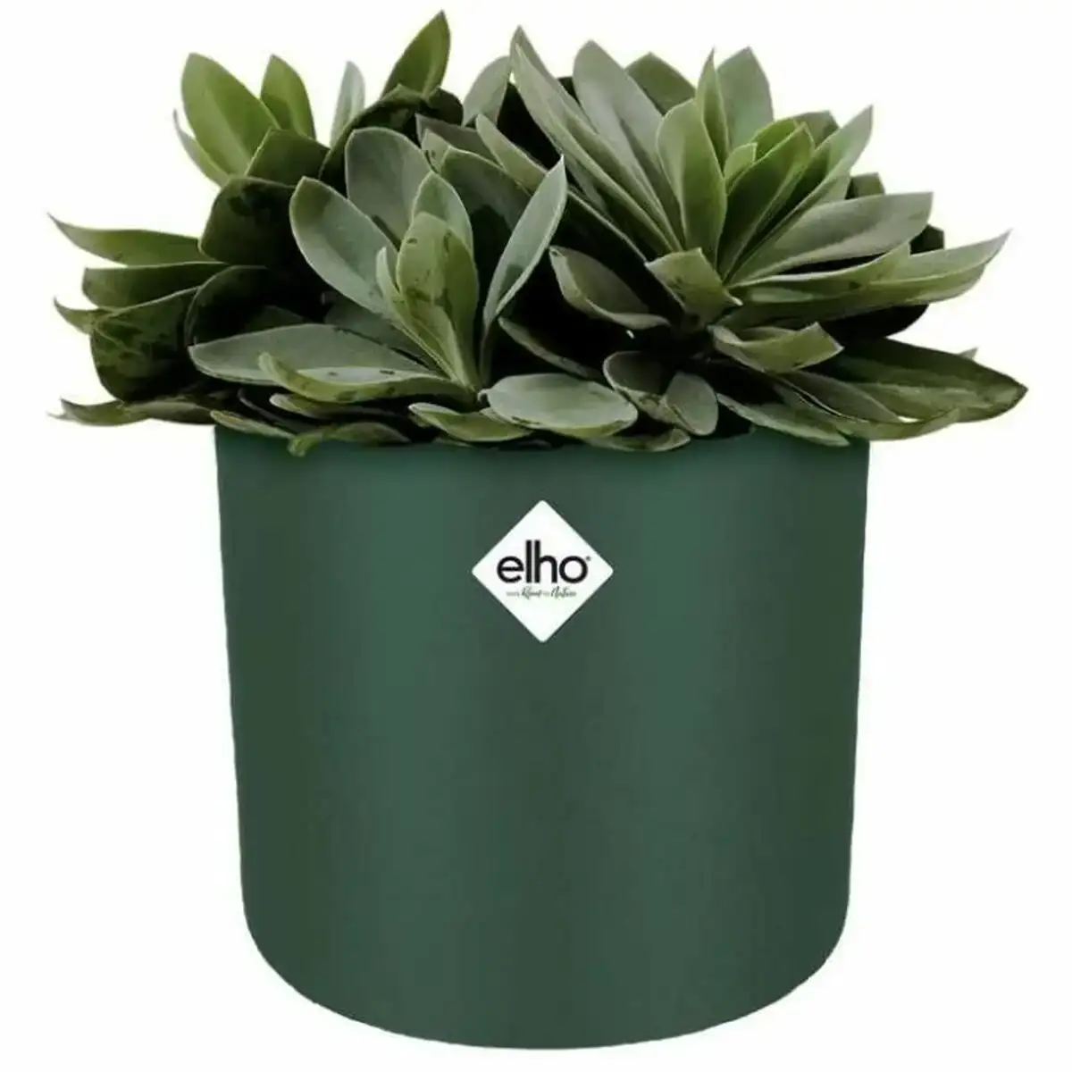 Pot elho ronde anthracite plastique o 30 cm_4152. Découvrez DIAYTAR COTE D'IVOIRE - Où l'Élégance Rencontre la Variété. Parcourez notre collection et trouvez des trésors cachés qui ajoutent une touche de sophistication à votre vie quotidienne.