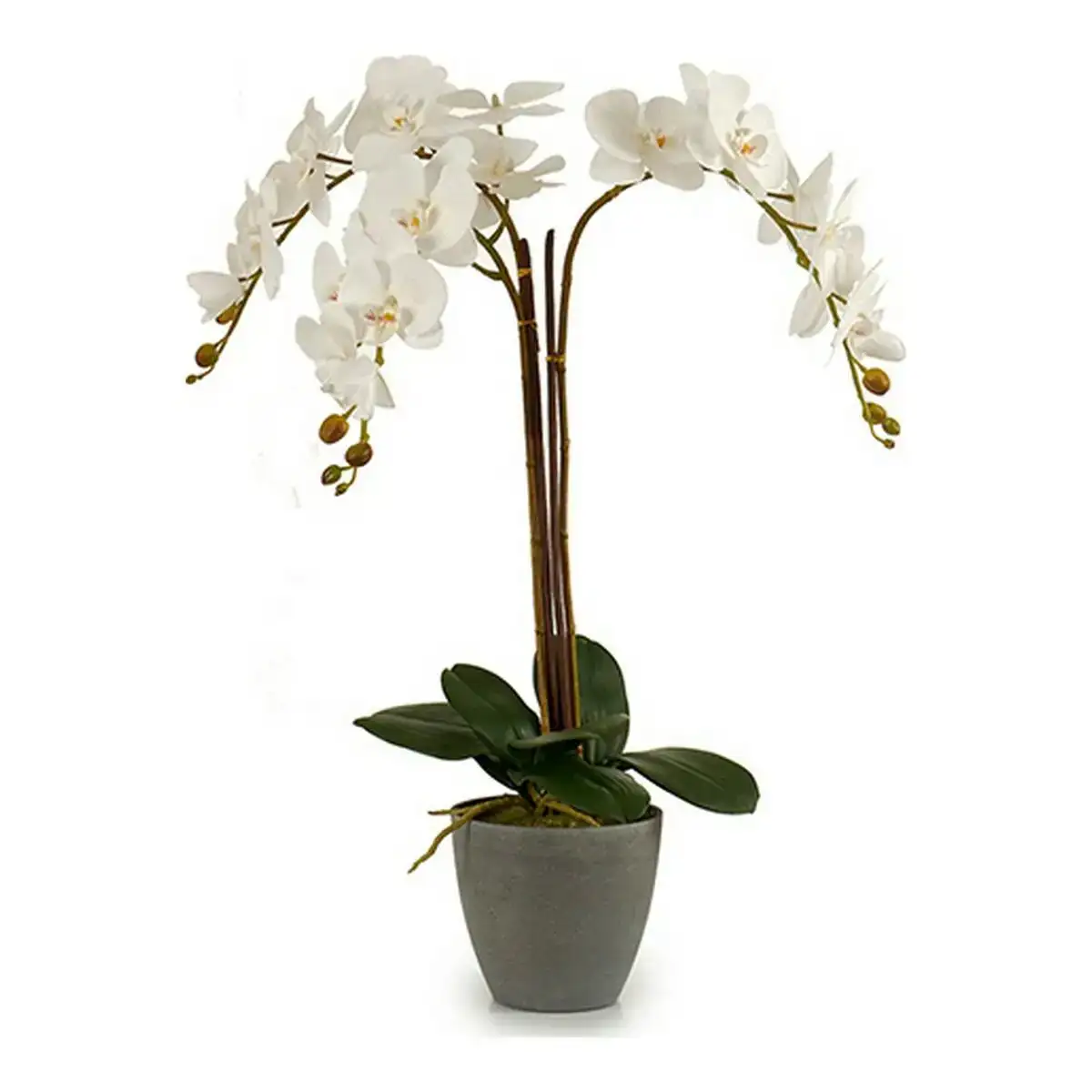 Pot plastique_8906. Bienvenue sur DIAYTAR COTE D'IVOIRE - Où Chaque Détail compte. Plongez dans notre univers et choisissez des produits qui ajoutent de l'éclat et de la joie à votre quotidien.