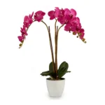 Pot rose blanc vert plastique_9207. DIAYTAR COTE D'IVOIRE - Votre Destination pour un Shopping Réfléchi. Découvrez notre gamme variée et choisissez des produits qui correspondent à vos valeurs et à votre style de vie.