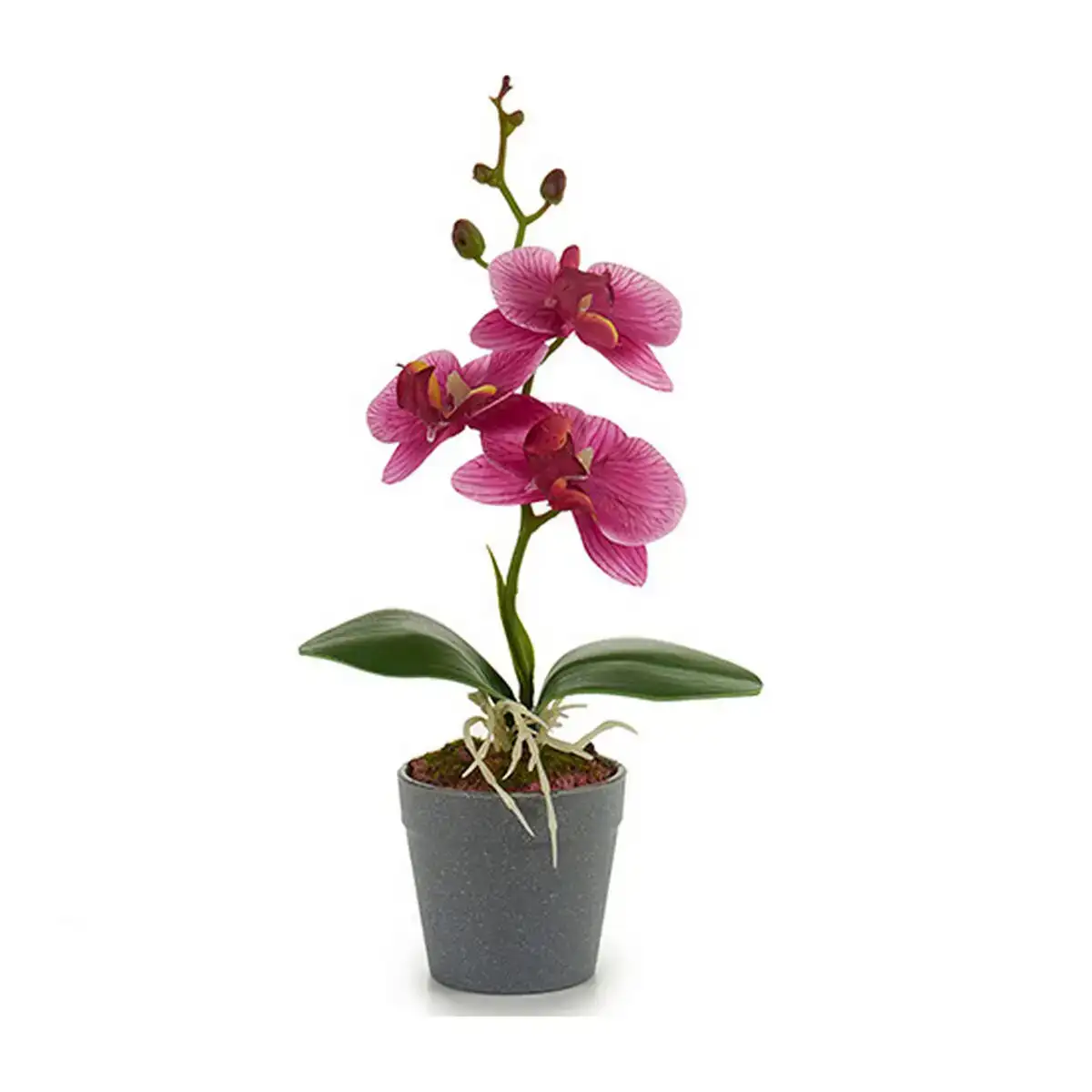 Pot violet rose fuchsia blanc plastique 7 x 26 x 14 cm_3678. DIAYTAR COTE D'IVOIRE - Où Choisir Rime avec Qualité. Découvrez notre sélection soigneusement conçue et choisissez des articles qui incarnent l'excellence et l'innovation.