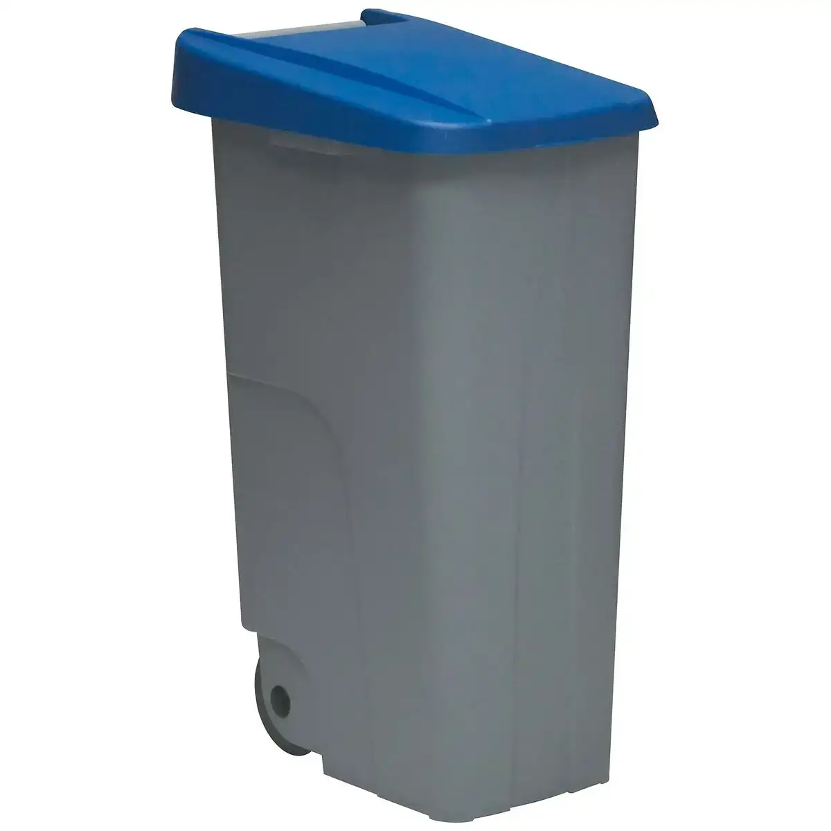 Poubelle recyclage denox gris bleu plastique 110 l_2226. Bienvenue sur DIAYTAR COTE D'IVOIRE - Où Choisir est un Voyage Passionnant. Plongez dans notre catalogue et trouvez des produits qui révèlent la diversité et la beauté du Côte d'Ivoire.