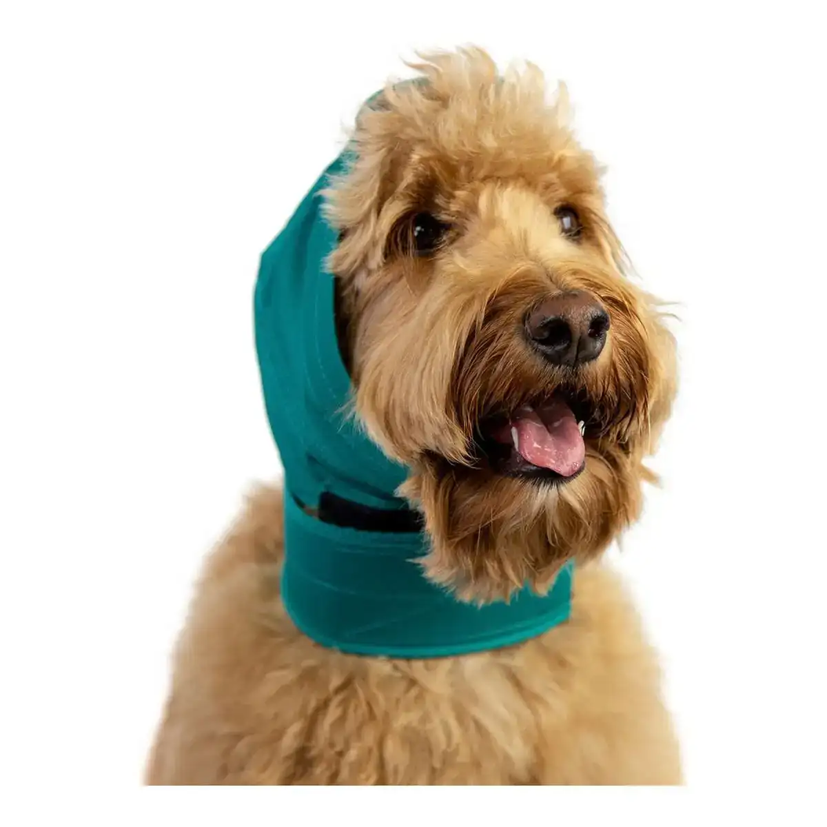 Protecteur d oreilles pour chiens kvp vert taille s m_4061. DIAYTAR COTE D'IVOIRE - Votre Destination pour un Shopping Éclairé. Parcourez notre boutique en ligne pour découvrir des produits de qualité qui embelliront votre quotidien.