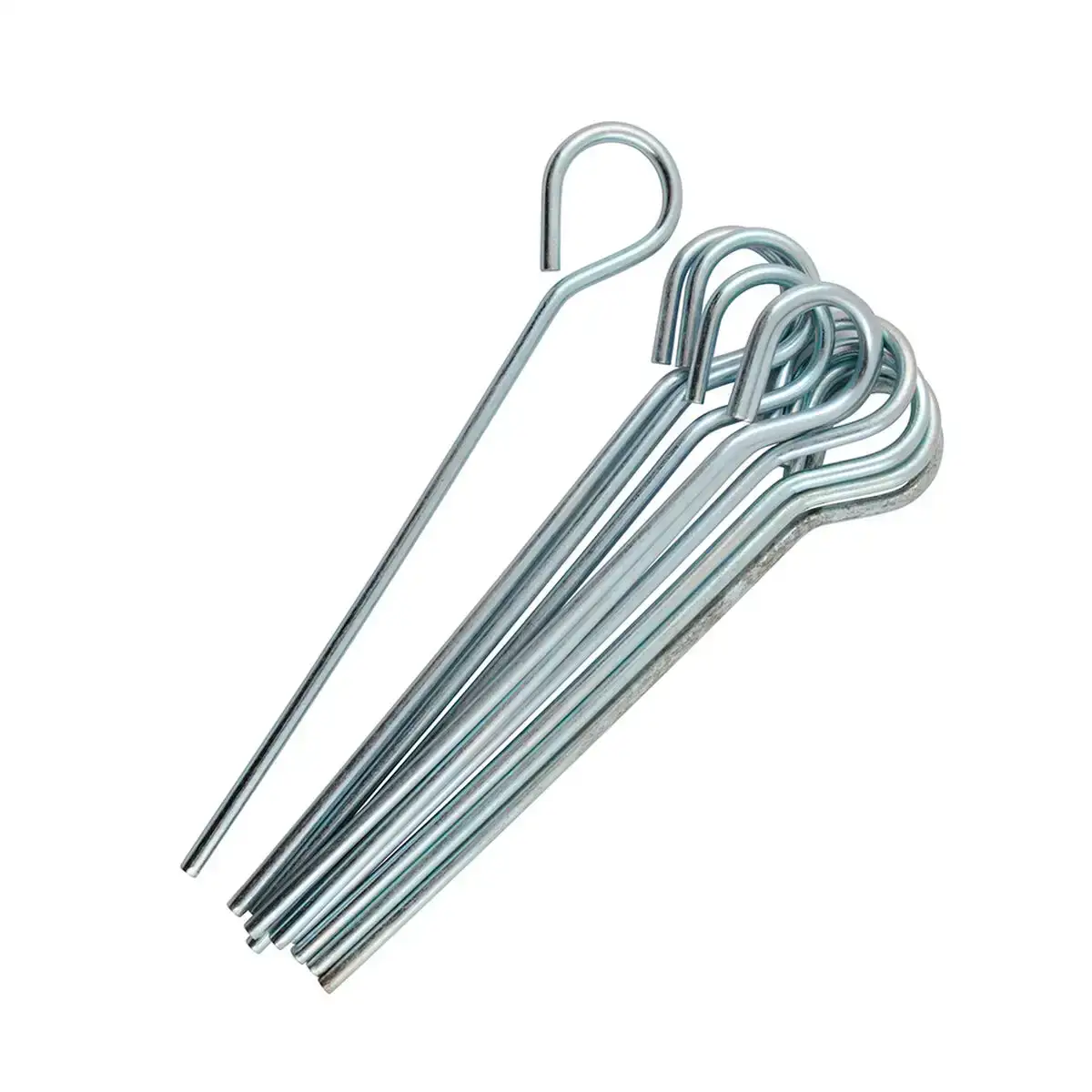 Sardines de camping maxranger 17 5 cm 8 unites _4623. DIAYTAR COTE D'IVOIRE - Votre Marché Virtuel au Côte d'Ivoire. Parcourez notre boutique en ligne pour trouver des trésors cachés, des articles indispensables du quotidien aux joyaux artistiques.