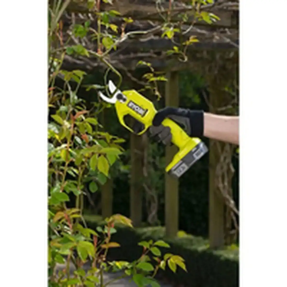 Secateurs ryobi ry18sca 0_5993. DIAYTAR COTE D'IVOIRE - Votre Passage vers le Raffinement. Plongez dans notre univers de produits exquis et choisissez des articles qui ajoutent une touche de sophistication à votre vie.