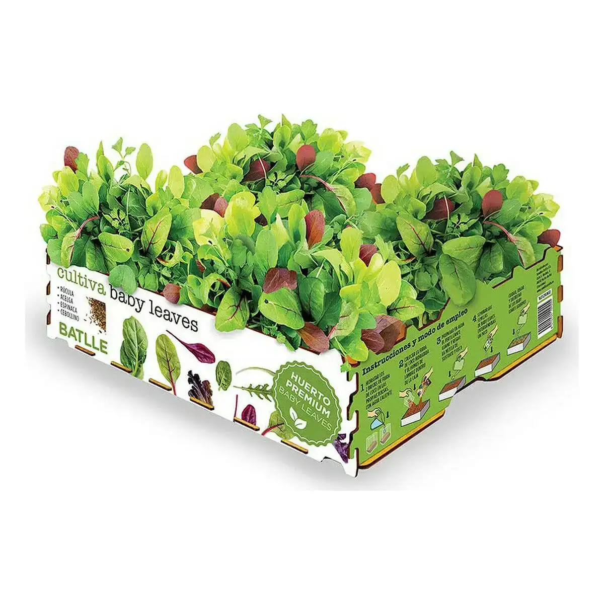 Set de culture batlle baby leaves salades 40 x 29 x 10 5 cm 2 6 kg_6561. Votre Destination de Choix: DIAYTAR COTE D'IVOIRE - Où l'Authenticité Rencontre la Commodité. Faites l'expérience de magasiner en ligne pour des articles qui incarnent la richesse culturelle et la modernité du Côte d'Ivoire.