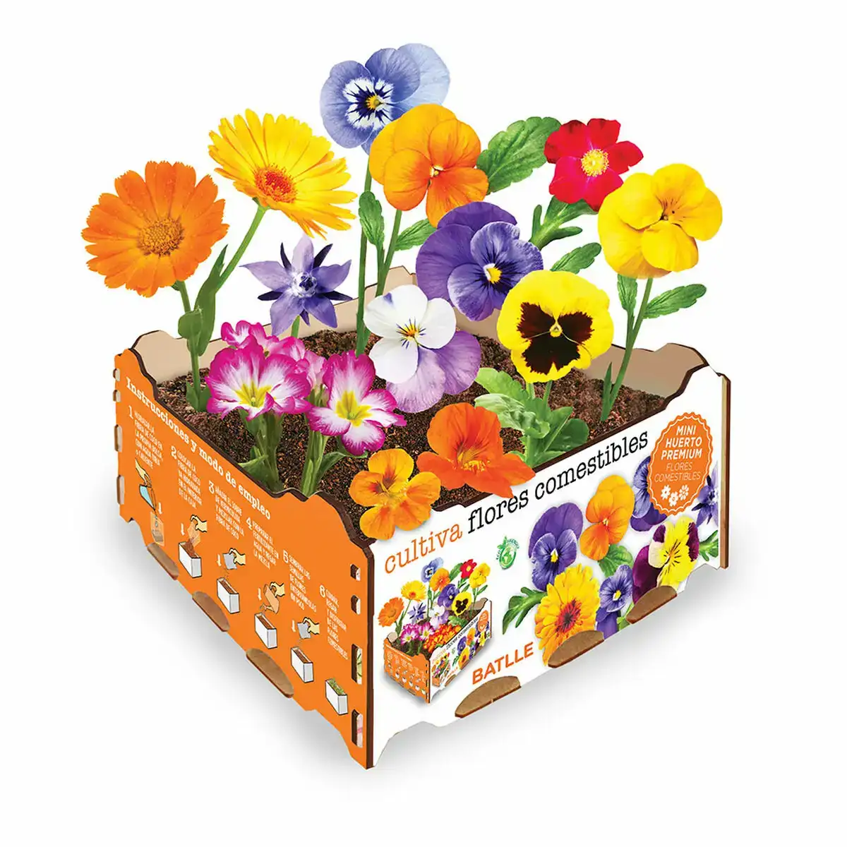 Set de culture batlle fleurs comestible 19 x 19 x 10 cm_5944. DIAYTAR COTE D'IVOIRE - Où Choisir Devient une Expérience Personnalisée. Explorez notre boutique en ligne pour découvrir des produits qui s'adaptent à votre style et à votre essence.