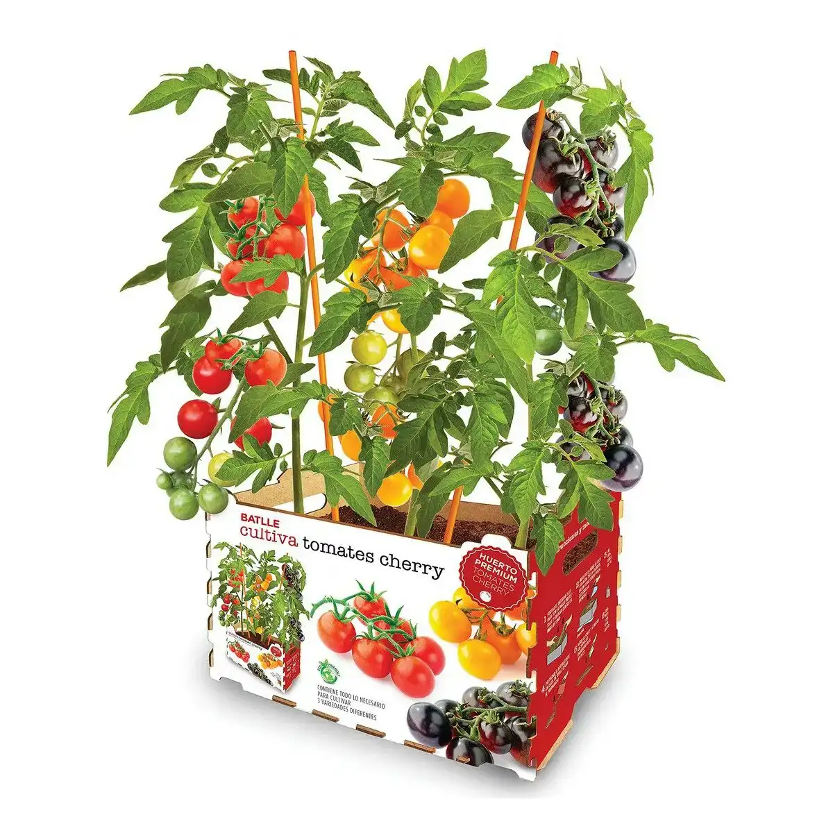Set de culture batlle tomates naturelles 30 x 19 5 x 16 2 cm_7114. DIAYTAR COTE D'IVOIRE - Là où Chaque Produit Est une Trouvaille. Parcourez notre catalogue diversifié et découvrez des articles qui enrichiront votre quotidien, du pratique à l'insolite.