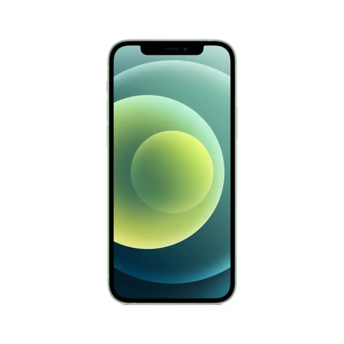 Smartphone apple iphone 12 vert 256 gb 6 1 _5060. DIAYTAR COTE D'IVOIRE - L'Art de Vivre en Couleurs. Découvrez notre boutique en ligne et trouvez des produits qui ajoutent une palette vibrante à votre quotidien.