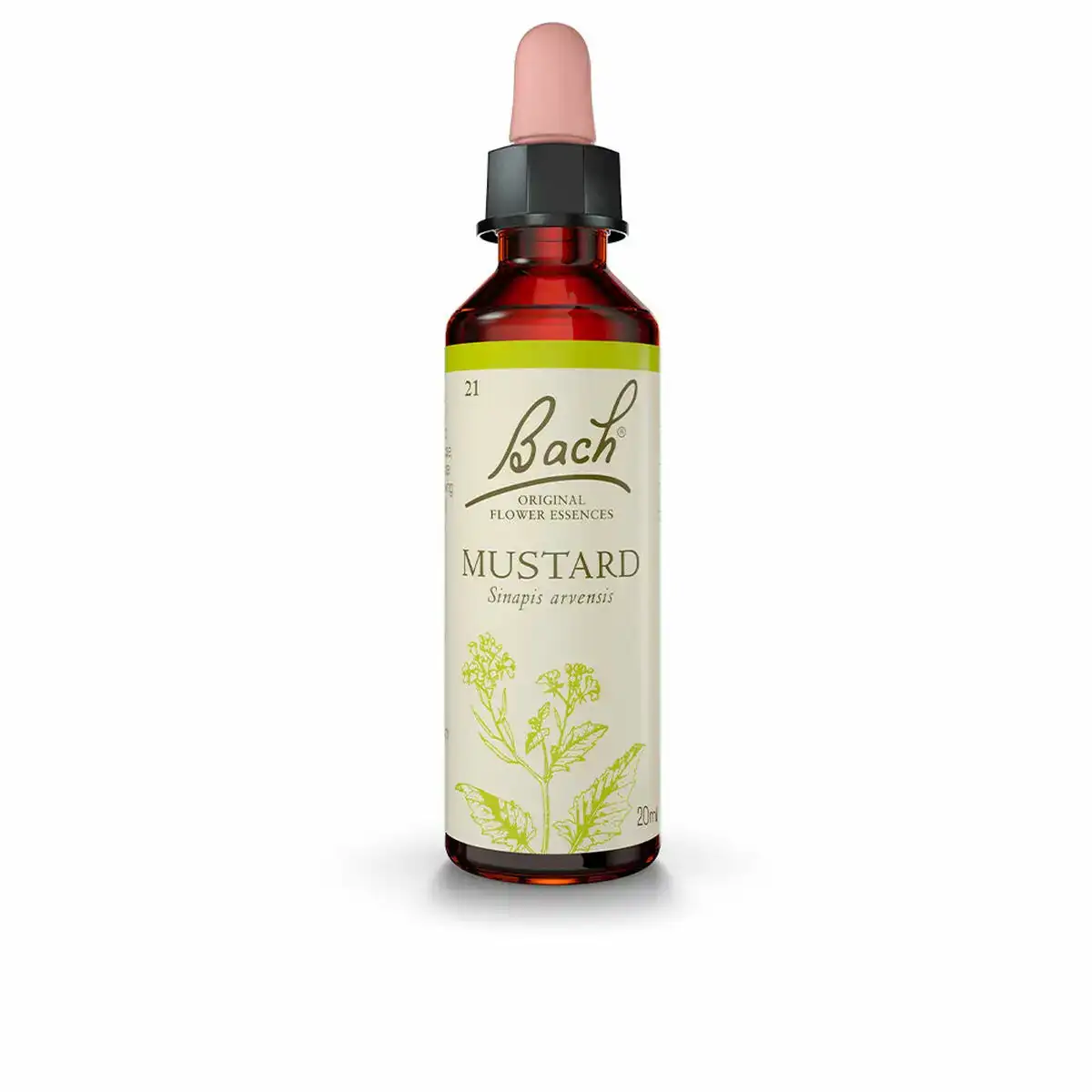 Supplement alimentaire bach mustard 20 ml_7059. DIAYTAR COTE D'IVOIRE - Votre Plateforme Shopping Engagée. Explorez notre catalogue et choisissez des produits qui reflètent notre dévouement envers la qualité et la satisfaction du client.