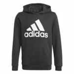 Sweat a capuche enfant adidas gn4027 noir_6500. DIAYTAR COTE D'IVOIRE - Où Choisir est une Célébration. Découvrez notre sélection de produits qui représentent la diversité et la joie du Côte d'Ivoire, à chaque étape de votre vie.
