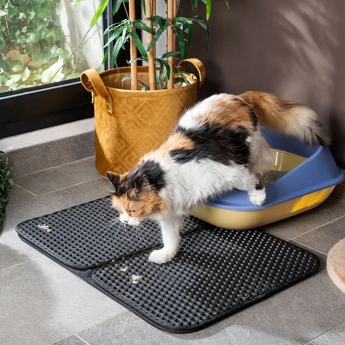 Tapis de litiere pour chat clikatt innovagoods_1958. DIAYTAR COTE D'IVOIRE - Là où Chaque Produit a son Histoire. Découvrez notre gamme de produits, chacun portant en lui le récit de l'artisanat et de la passion, pour vous offrir une expérience de shopping authentique.