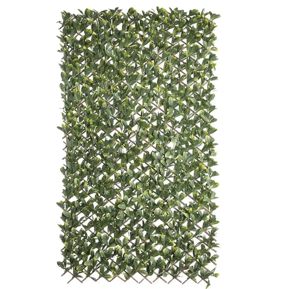 Treillis natural laurel osier bambou 2 x 200 x 100 cm_1850. Découvrez DIAYTAR COTE D'IVOIRE - Où l'Élégance Rencontre la Variété. Parcourez notre collection et trouvez des trésors cachés qui ajoutent une touche de sophistication à votre vie quotidienne.