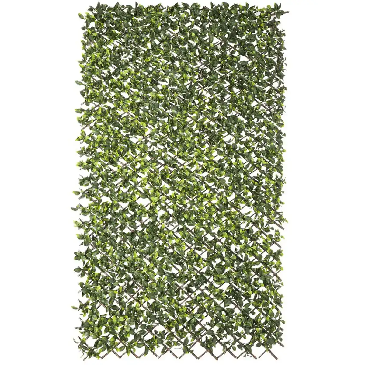 Treillis natural lierre osier bambou 2 x 200 x 100 cm_6133. DIAYTAR COTE D'IVOIRE - Là où Chaque Clic Compte. Parcourez notre boutique en ligne et laissez-vous guider vers des trouvailles uniques qui enrichiront votre quotidien.