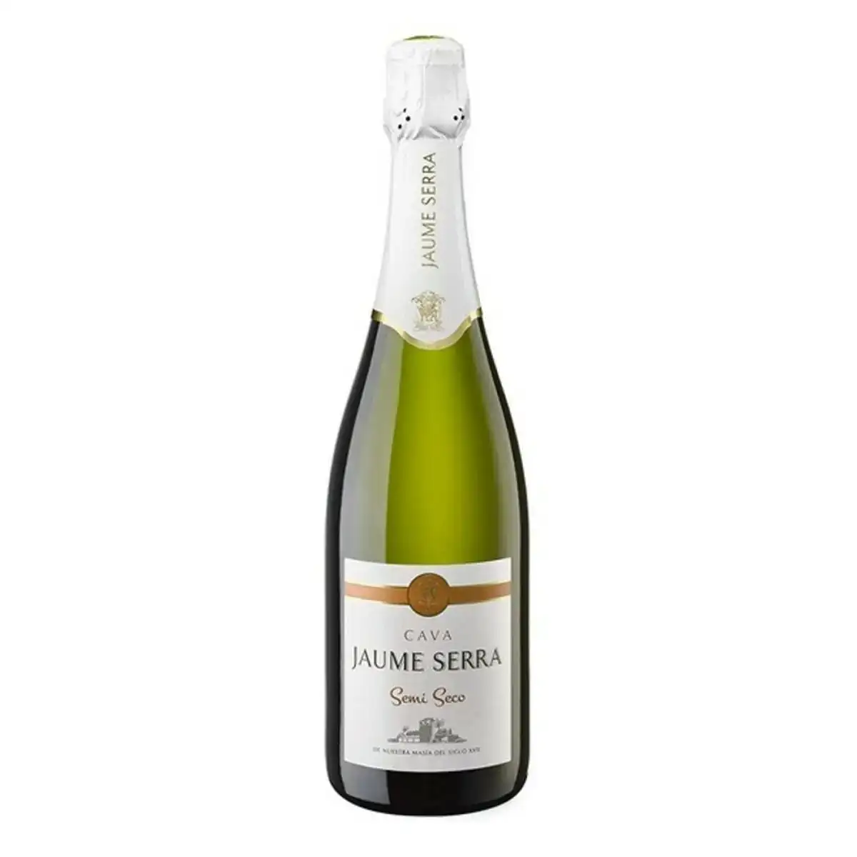 Vin mousseux jaume serra 75 cl _5550. DIAYTAR COTE D'IVOIRE - L'Art de Vivre le Shopping Inspiré. Parcourez notre catalogue et choisissez des produits qui reflètent votre passion pour la beauté et l'authenticité.