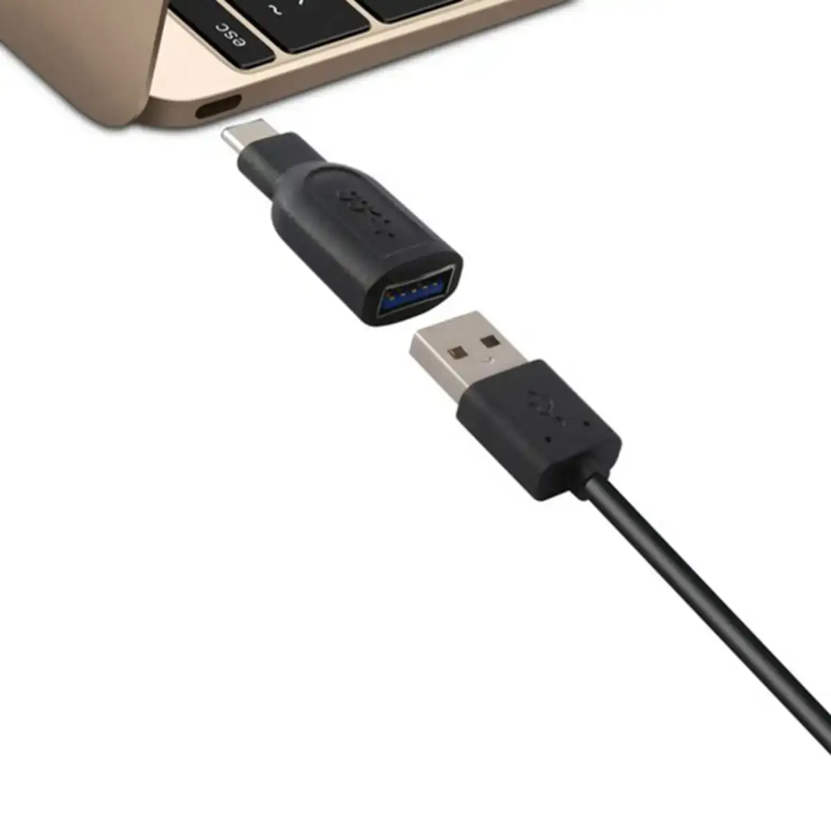 Adaptateur usb 3 0 vers usb c 3 1 noir_1858. DIAYTAR COTE D'IVOIRE - Où l'Élégance se Mêle à l'Authenticité. Naviguez à travers notre boutique en ligne et choisissez des produits qui incarnent le style et la tradition du Côte d'Ivoire.