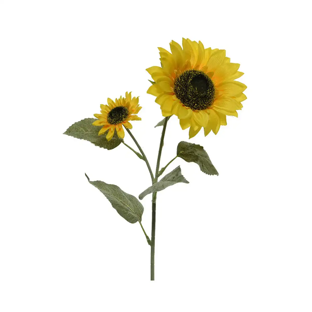 Bouquets everlands 10 x 15 x 72 cm tournesol_5008. Entrez dans l'Univers de DIAYTAR COTE D'IVOIRE - Où l'Élégance Rencontre la Tradition. Explorez notre gamme variée et trouvez des articles qui ajoutent une touche de sophistication à votre vie.